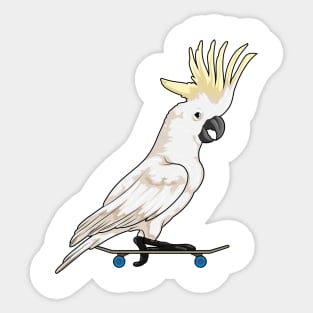 Parrot Skater Skateboard Sticker